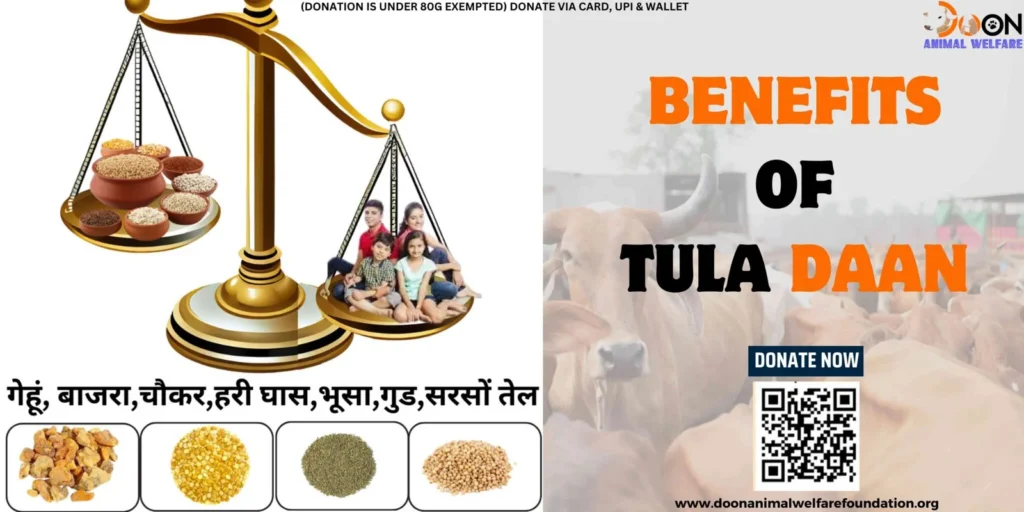 7 Benefits of Tula Daan