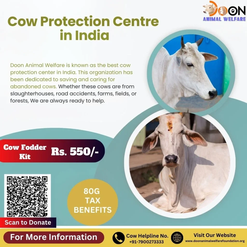 Cow Protection Centre