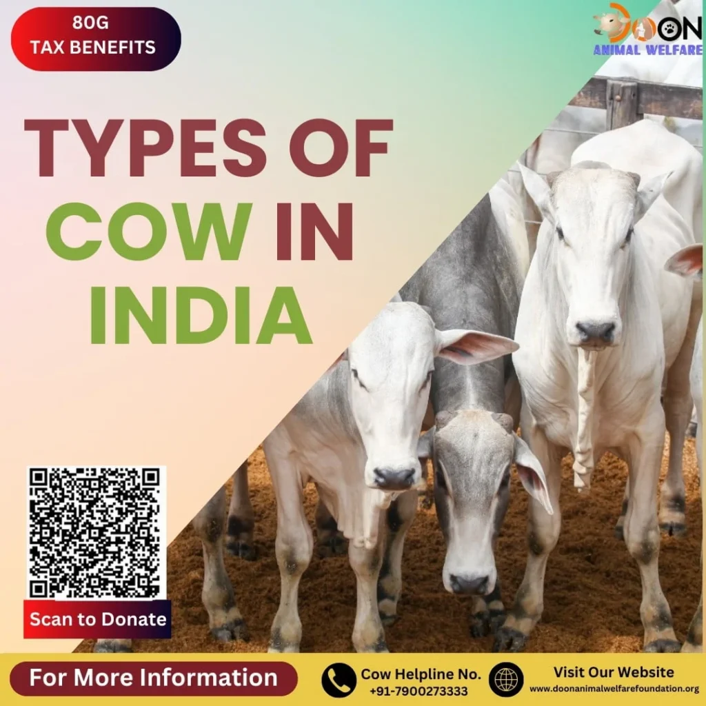 Types of Cow in India