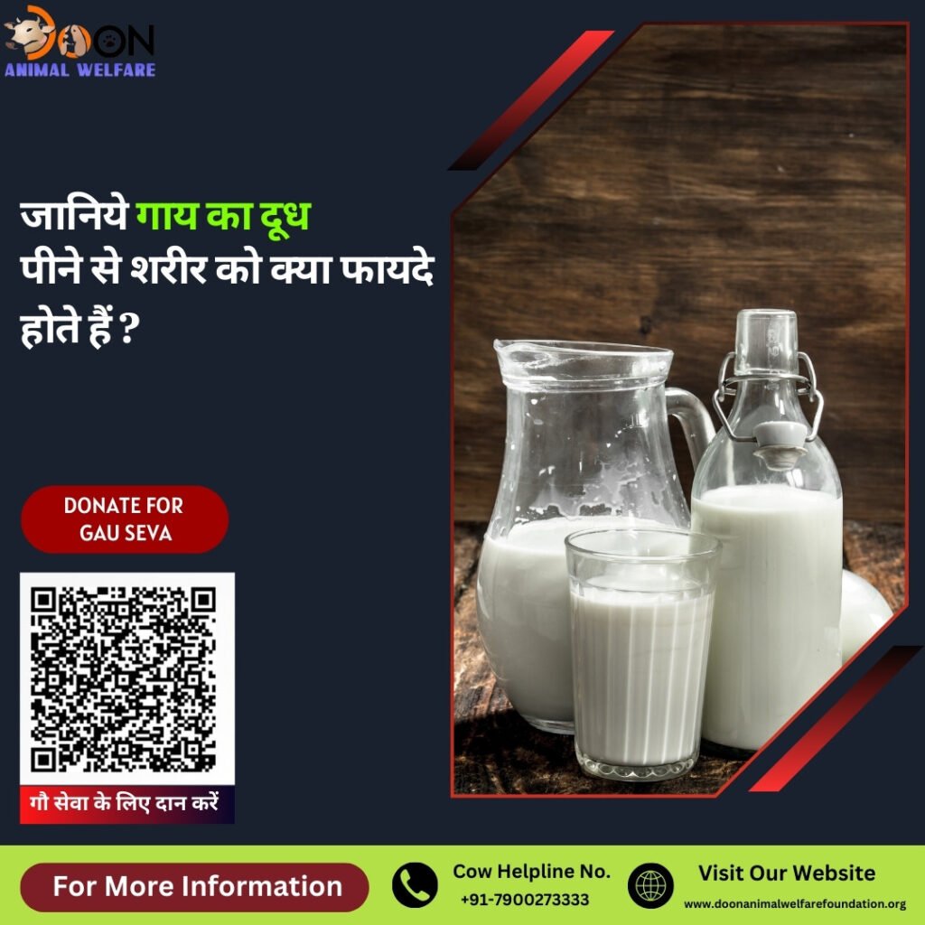 Gay Ke Dudh Ke Fayde