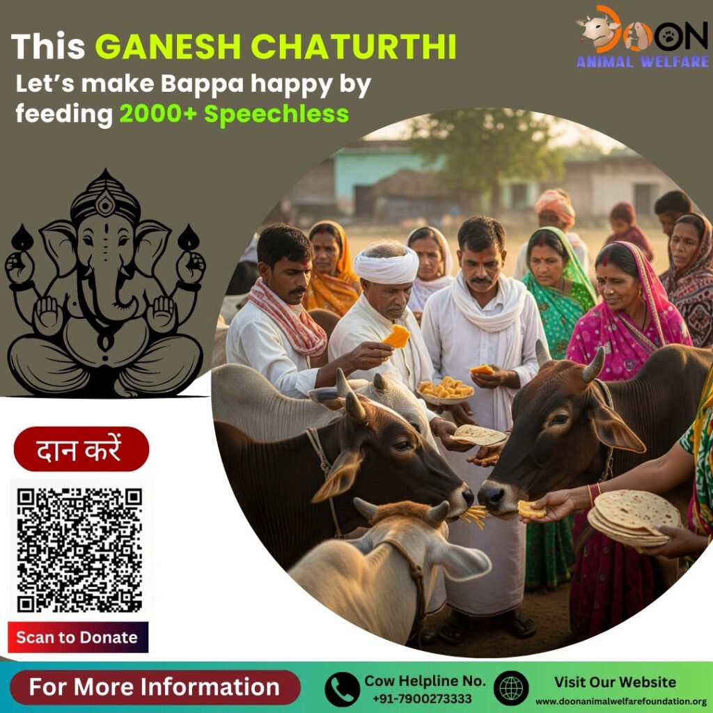 Donate on Ganesh Chaturthi