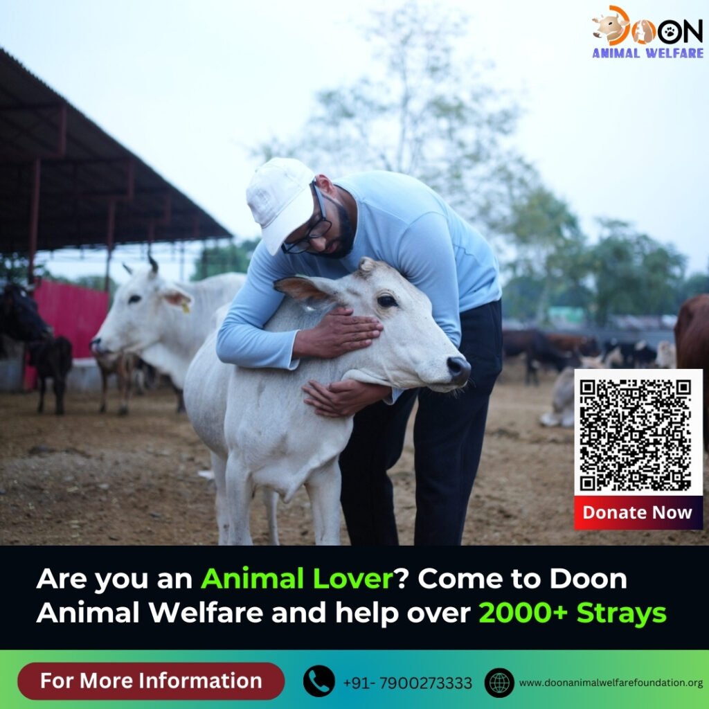 Are you an Animal Lover