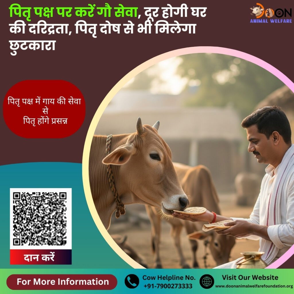 Pitru Paksha 2025 Daan