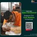 Can You Make a Difference by Supporting Cow Welfare Initiatives