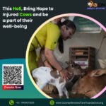 Donate for Cows on Holi