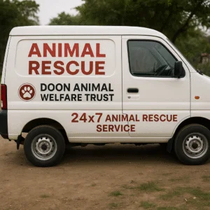 Ambulance for Animal Rescue