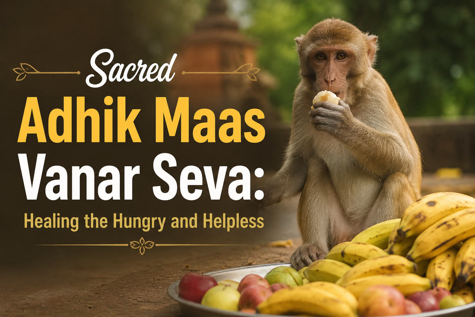 Sacred Adhik Maas Vanar Seva: Healing the Hungry and Helpless